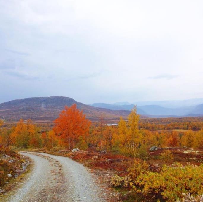 Fjellstova Storehorn Apartments Ulsak Экстерьер фото